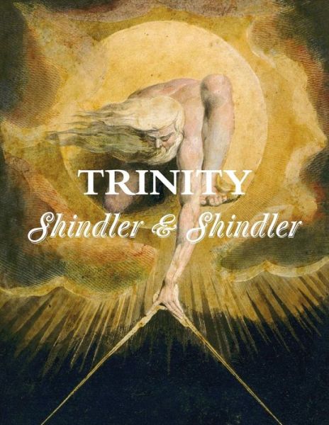 Cover for Max Shindler · Trinity: the Tower: Book I (Paperback Book) (2015)