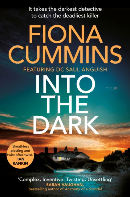 Cover for Fiona Cummins · Into the Dark: Shortlisted for the 2023 Crime Novel of the Year (Paperback Book) (2023)