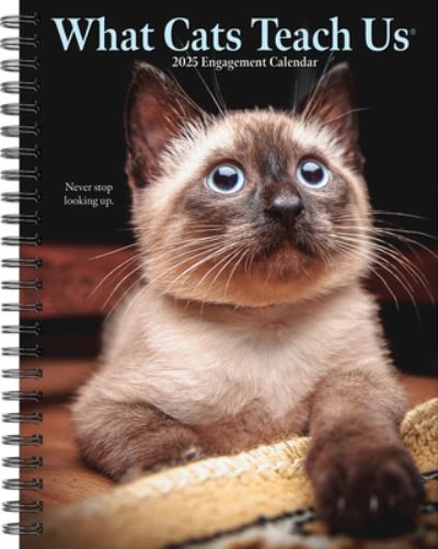 Willow Creek Press · What Cats Teach Us 2025 6.5 X 8.5 Engagement Calendar (Calendar) (2024)