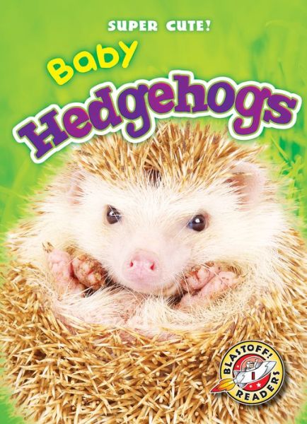 Cover for Megan Borgert-spaniol · Baby Hedgehogs (Hardcover Book) (2015)