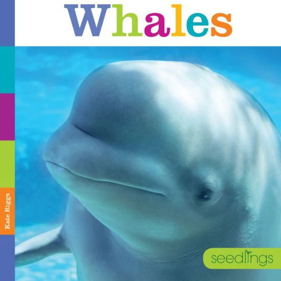 Cover for Kate Riggs · Seedlings: Whales (Paperback Book) (2015)