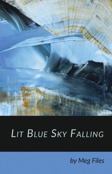 Cover for Meg Files · Lit Blue Sky Falling (Paperback Book) (2019)