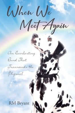 When We Meet Again - Rm Bryant - Livros - Page Publishing, Inc. - 9781662402173 - 2 de novembro de 2020