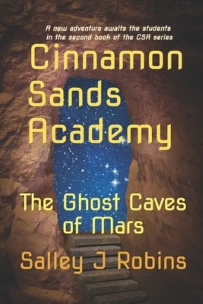 Cover for Salley J Robins · Cinnamon Sands Academy (Paperback Book) (2018)