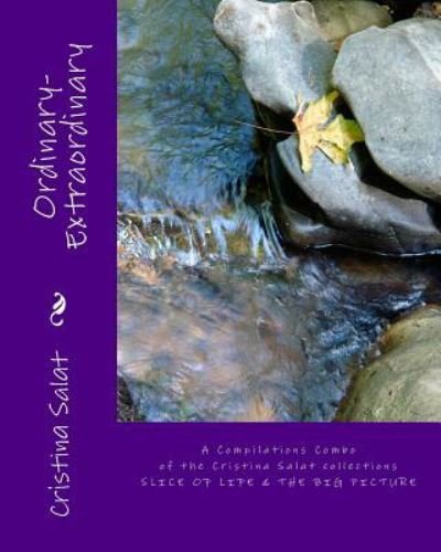 Cover for Cristina Salat · Ordinary-Extraordinary (Paperback Bog) (2018)