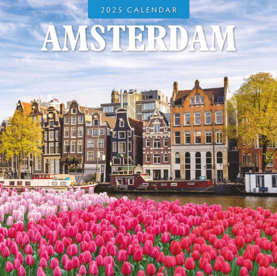 Cover for Red Robin · Amsterdam 2025 Square Wall Calendar (Paperback Book) (2024)