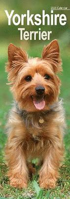 Cover for Yorkshire Terrier Slim Calendar 2026  Dog Breed Slimline Calendar - 12 Month (Calendar) (2025)