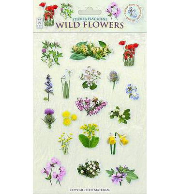 Cover for Caz Buckingham · Wild Flowers - Sticker Play Scenes (Loose-leaf) (2014)