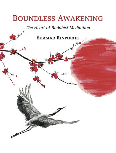 Cover for Shamar Rinpoche · Boundless Awakening: The Heart of Buddhist Meditation (Paperback Bog) (2020)