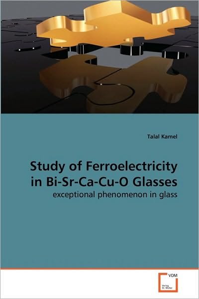 Cover for Talal Kamel · Study of Ferroelectricity in Bi-sr-ca-cu-o Glasses: Exceptional Phenomenon in Glass (Pocketbok) (2010)