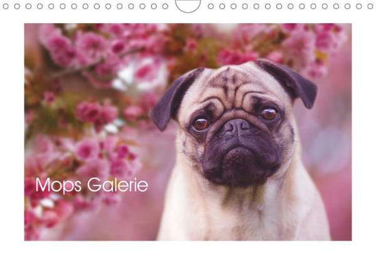 Mops Galerie (Wandkalender 2021 - Arendt - Books -  - 9783672272173 - 