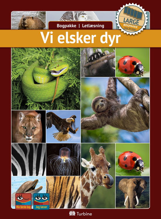 Cover for Bogpakke, letlæsning, fakta · Bogpakke: Vi elsker dyr (LARGE 30 bøger) (Boksett) [1. utgave] (2019)