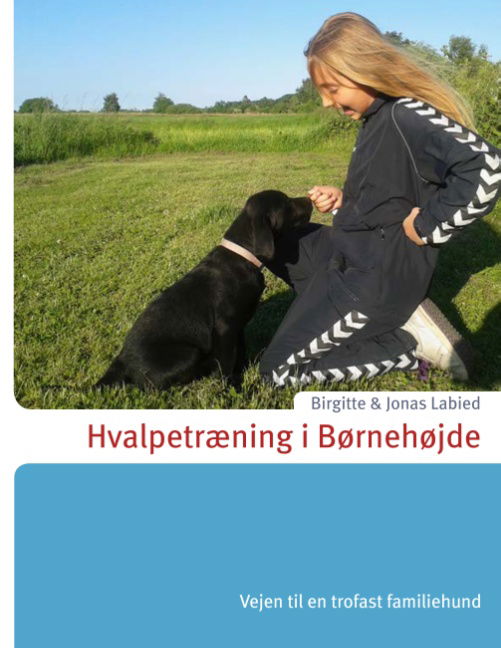Cover for Jonas Labied; Birgitte Labied; Birgitte Labied; Jonas Labied · Hvalpetræning i Børnehøjde (Paperback Book) [1st edition] (2019)