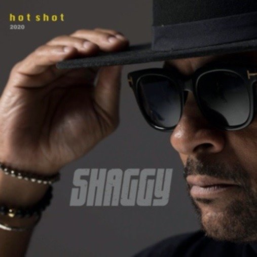 Cover for Shaggy · Hot Shot 2020 (LP) (2020)