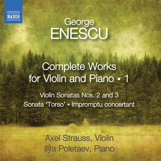 Cover for Ensecu / Strauss / Poletaev · Complete Works for Violin &amp; Piano (CD) (2013)