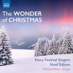 Cover for Britten / Rutter / Tavener · The Wonder of Christmas (CD) (2014)