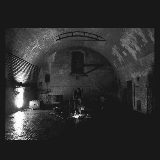 Devolving Trust - Svarte Greiner - Music - MIASMAH - 0880918260174 - May 19, 2023