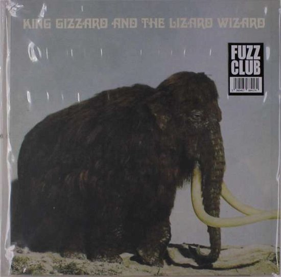 Cover for King Gizzard &amp; the Lizard Wizard · Polygondwanaland (LP) [Fuzz Club edition] (2018)