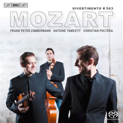 Divertimento K563/String Trio - Mozart / Schubert - Musique - BIS - 7318599918174 - 17 novembre 2010