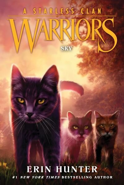 Cover for Erin Hunter · Warriors: A Starless Clan #2: Sky - Warriors: A Starless Clan (Pocketbok) (2023)