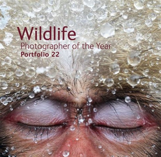 Cover for Natural History Museum · Wildlife Photographer of the Year Portfolio 22 - Wildlife Photographer of the Year (Hardcover Book) (2013)