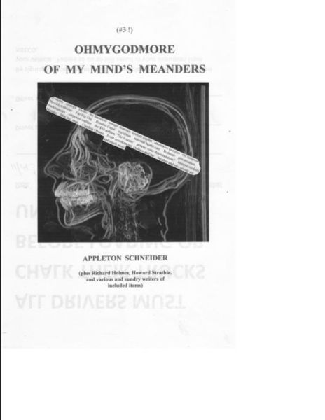 Cover for Appleton Schneider · Ohmygodmore Mind Meanders (Book) (2012)