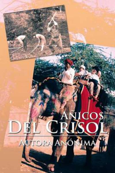 Cover for Autora Anonima · Anicos Del Crisol (Paperback Book) (2013)