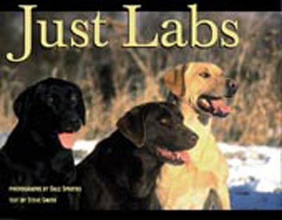 Just Labs - Steve Smith - Books - Willow Creek Press - 9781572232174 - April 1, 1999