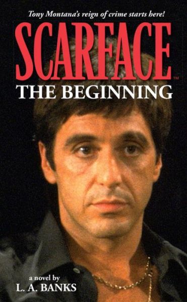 Scarface Volume 1: The Beginning Volume - L. A. Banks - Książki - Dark Horse Comics,U.S. - 9781595820174 - 30 maja 2006