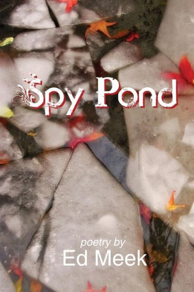 Cover for Ed Meek · Spy Pond (Paperback Book) (2015)