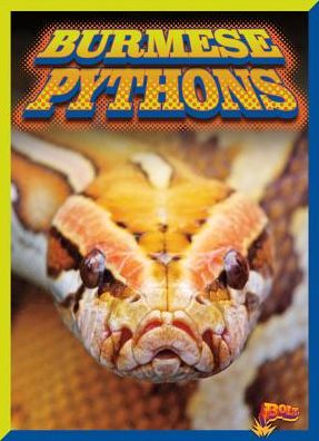 Cover for Barbara Ciletti · Burmese Pythons (Hardcover Book) (2017)