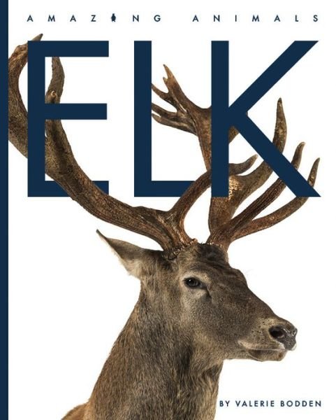 Cover for Kate Riggs · Elk (Bok) (2023)