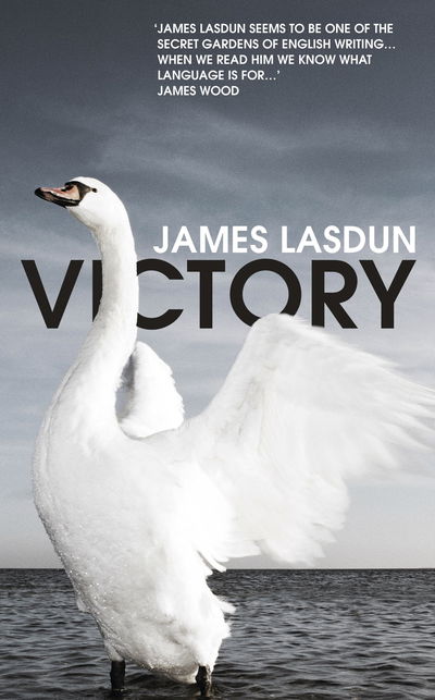 Cover for James Lasdun · Victory (Hardcover Book) (2019)