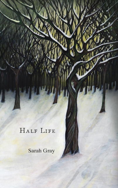 Cover for Sarah Gray · Half Life (Paperback Book) (2016)