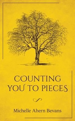 Counting You to Pieces - Michelle Ahern Bevans - Books - Moshpit Publishing - 9781922440174 - August 4, 2020
