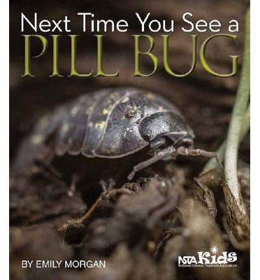 Cover for Emily Morgan · Next Time You See a Pill Bug - Next Time You See (Paperback Book) (2014)