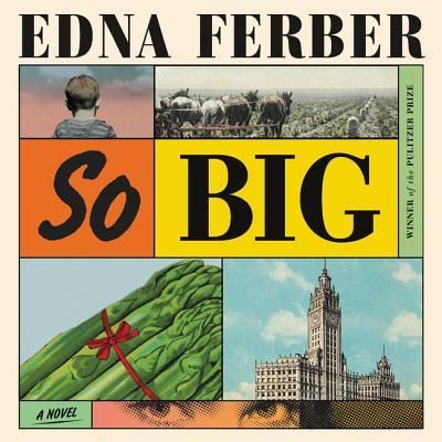 Cover for Edna Ferber · So Big (CD) (2019)