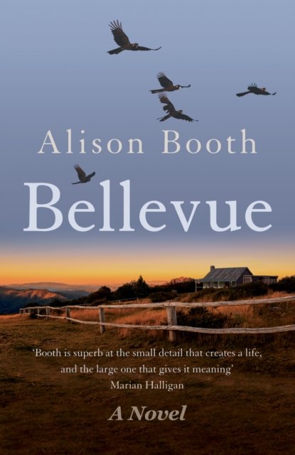 Cover for Alison Booth · Bellevue (Pocketbok) (2023)