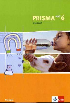 Prisma Mensch-Natur-Technik.TH. 6.Sj.AH (Book)