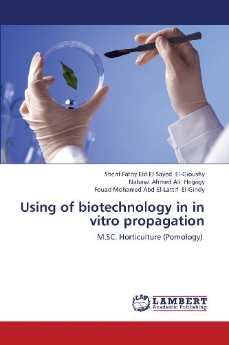 Cover for Fouad Mohamed Abd-el-lattif El-gindy · Using of Biotechnology in in Vitro Propagation: M.sc. Horticulture (Pomology) (Paperback Bog) (2013)