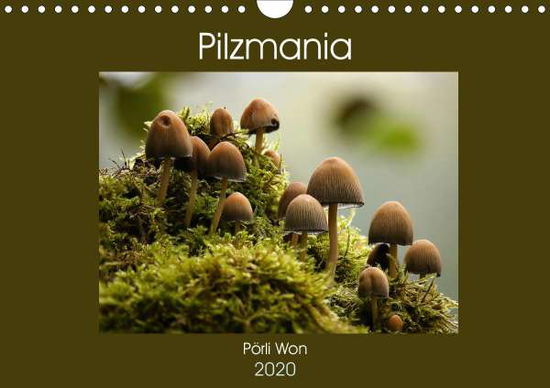 Cover for Won · Pilzmania (Wandkalender 2020 DIN A4 (Book)