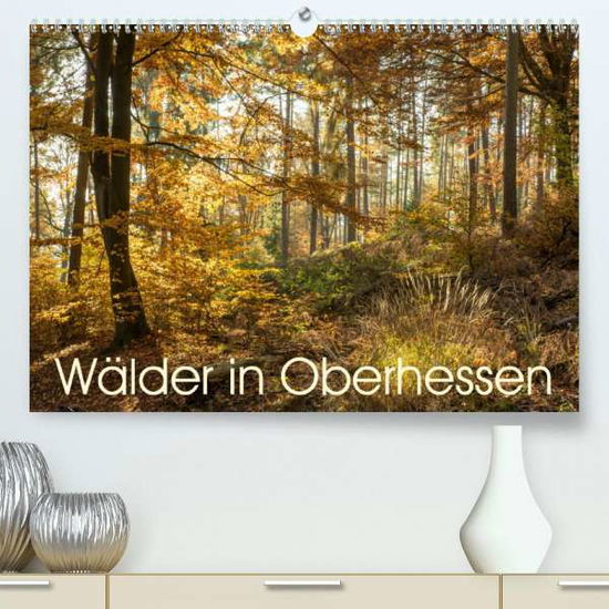 Cover for Balzer · Wälder in Oberhessen (Premium, h (Book)