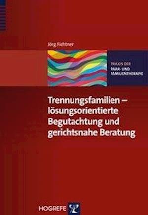 Cover for Fichtner · Trennungsfamilien - lösungsori (Bog)