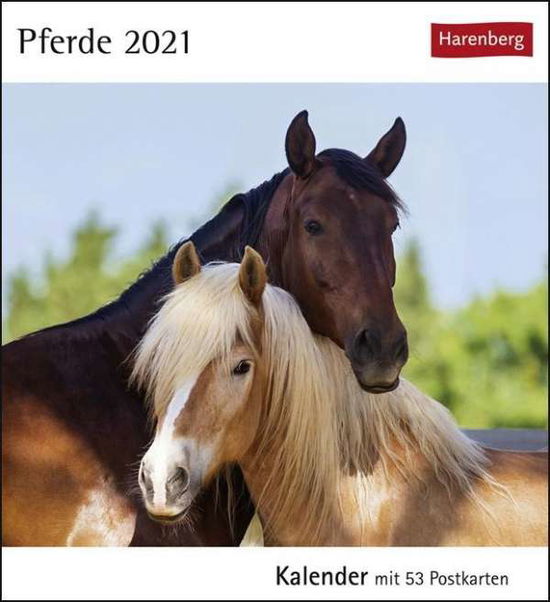 Cover for Slawik · Pferde Kalender 2021 (Book)