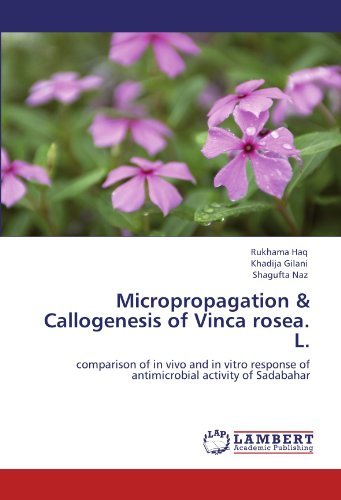 Cover for Shagufta Naz · Micropropagation &amp; Callogenesis of Vinca  Rosea. L.: Comparison of in Vivo and in Vitro Response of Antimicrobial Activity of Sadabahar (Paperback Book) (2012)