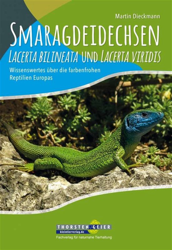 Cover for Dieckmann · Smaragdeidechsen Lacerta bili (Book)