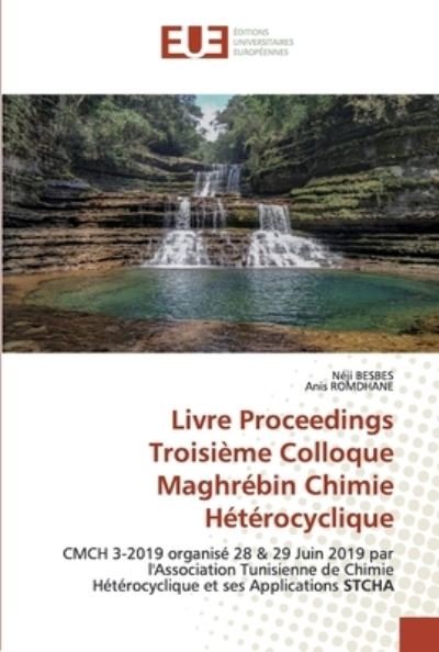 Cover for Besbes · Livre Proceedings Troisième Coll (Book) (2020)
