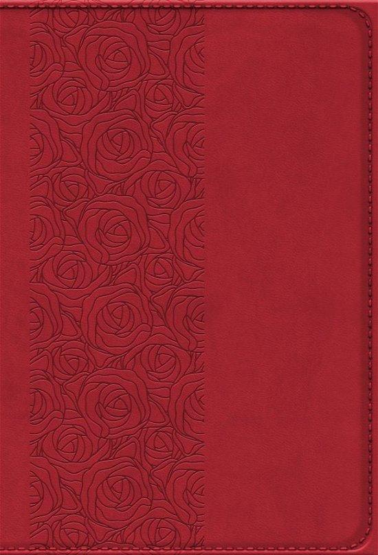 Cover for Bibelen på Hverdagsdansk, vinrød, PU (Hardcover Book) (2023)