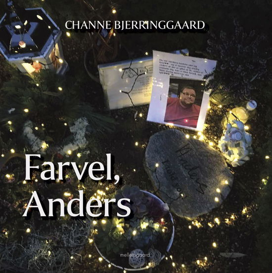 Cover for Channe Bjerringgaard · Farvel, Anders (Indbundet Bog) [1. udgave] (2025)