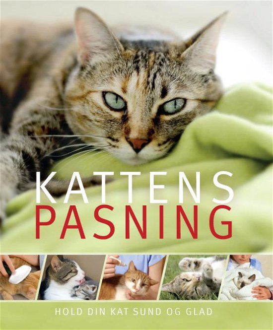 Kattens pasning -  - Livros - Atelier - 9788778578174 - 18 de setembro de 2014